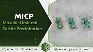 MICP (Microbial Induced Calcite Precipitation)