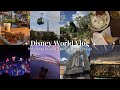 DISNEY WORLD DAY 4 | Morning at Studios, Rides at Epcot, &amp; Fireworks Dinner at the Riviera 🎬 🌐 🍽️  🎆
