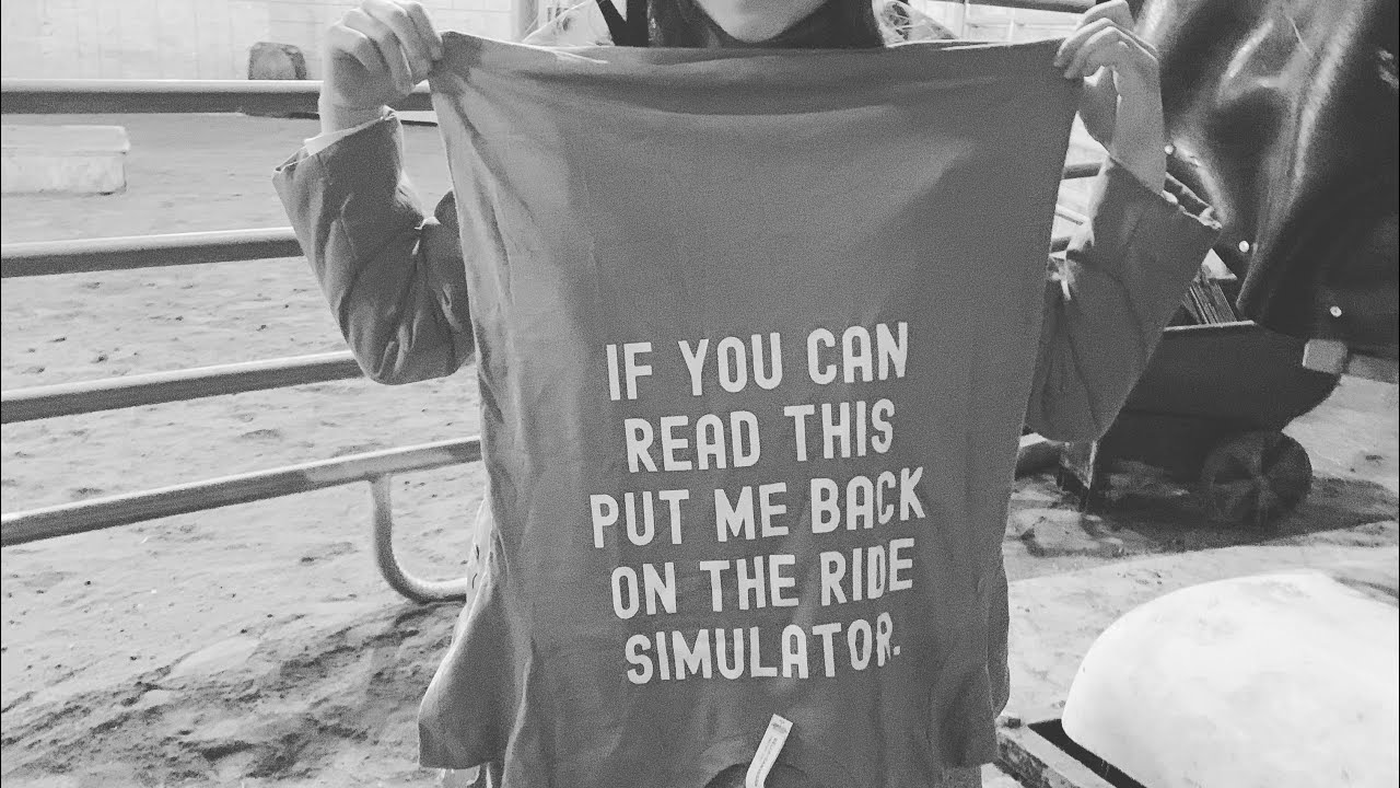 Ride Simulator Lesson