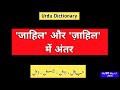 Urdu dictionary 2519  jaahil  zaahil  jahl  zahl  mhmu  moin shamsi  my hindi my urdu