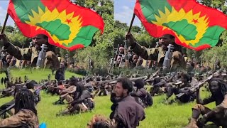 Oduu Ammee Mariin Wbo Fi Hawaasa Gidduutti Godhame Bitooteessa 2,2026