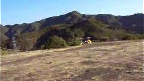 Trex 450 First Crash...