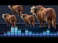 NDAMA JIGUSHILAGA UJUMBE WA SOLEYA 2026 BY MSAMBAZAJI SHULE YA ZIKU TV 4K 