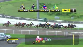 Vidéo de la course PMU PRIX WAR AFFAIR 2014 STAKES