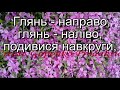 Український віночок мінус із текстом