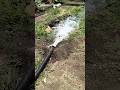 🏞️pani 🏊#wait for end 🛳️#pani #kuva#shortvideo #bapukisanhai #villagelife