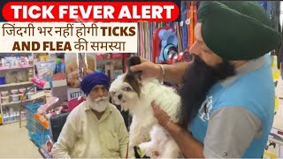Tick Fever 🥵 अपने Dogs को टिक्स और fleas से कैसे बचाये 😱 by Bhola Shola 669 views 1 month ago 3 minutes, 52 seconds