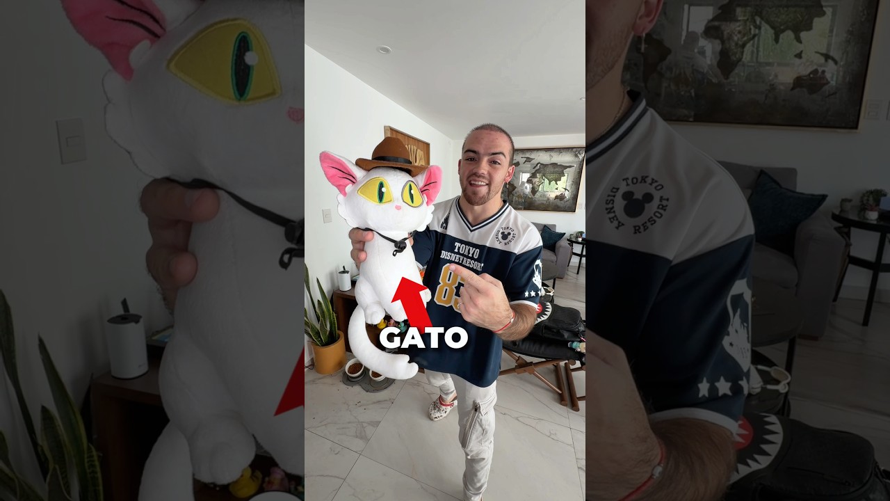 Mis gatos no son normales 😳🐈