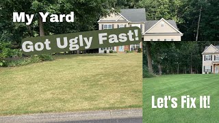 Front Yard Got Ugly Fast! Hard Work Will Fix It. HOC Reset. Landscape Clean-up. Bermuda Lawncare.