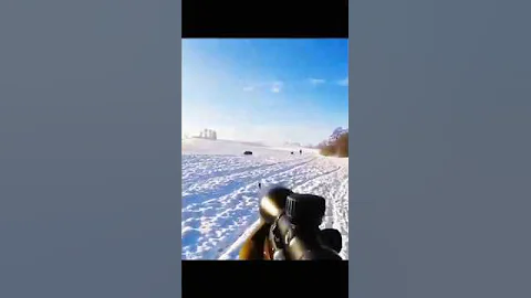 великолепный снимок дикого кабана#chasse#hunting #cinghiale  #wildboar