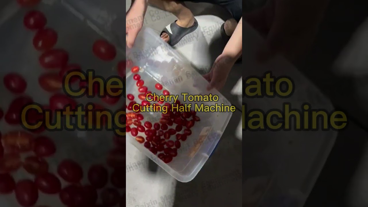 Cherry tomato cutting half machine
