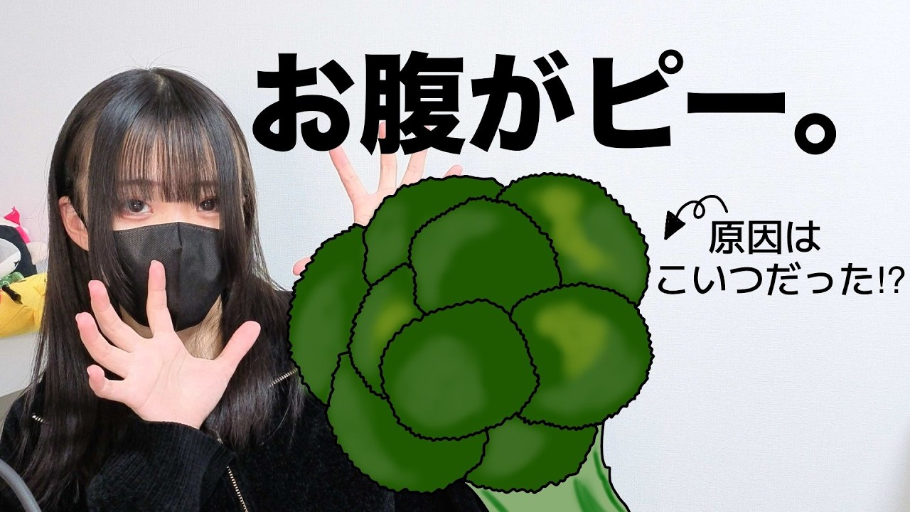 お腹を下しすぎた日の話