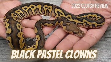 Black Pastel Clown Clutch