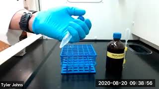 Extraction of Caffeine