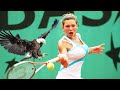20 EPIC MOMENTS WITH ANIMALS IN SPORTS