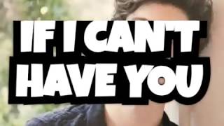 Shawn Mendes - If I Can't Have You (lyrics)