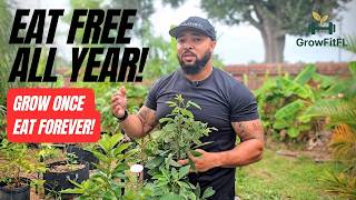 Top 3 Perennial Superfoods That Feed You Year-Round in Florida