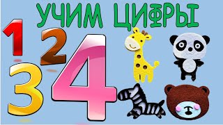 Цифры От 1 До 10. Учим Цифры. Учимся Считать