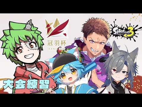 【 スプラトゥーン3 】7月19日の冠羽杯大会練習3回目！真ん丸視点【Vtuber】