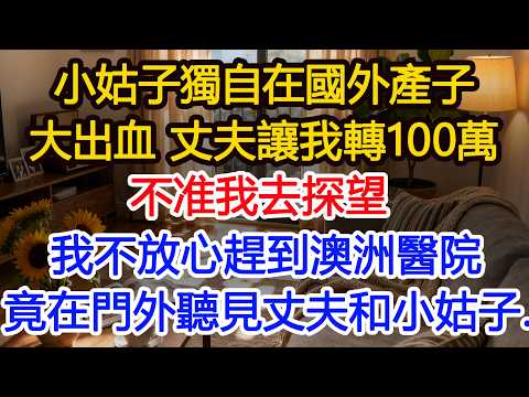 小姑子獨自在國外產子大出血 丈夫讓我轉100萬不准我去探望我不放心趕到澳洲醫院竟在門外聽見丈夫和小姑子…#正能量 #故事分享 #生活經驗 #情感#故事頻道