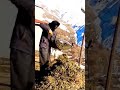 unique tool for cutting dry grass #shorts