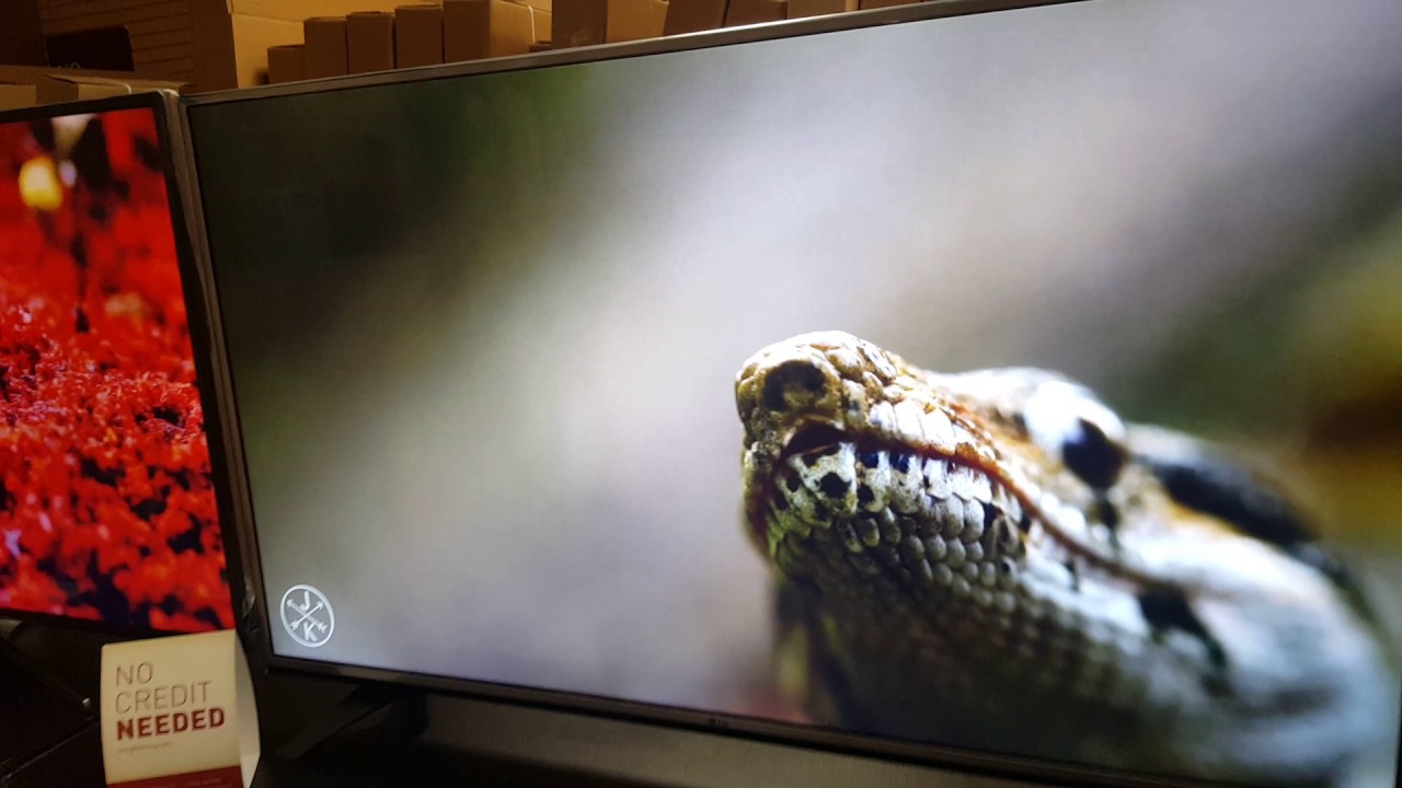 LG 55型4K液晶テレビYouTube、ネトフリ視聴可 LG 全国送料込 Electorinics 55V型/4K対応/BS・CS 液晶テレビ 55QNED85JQA Japan テレビ