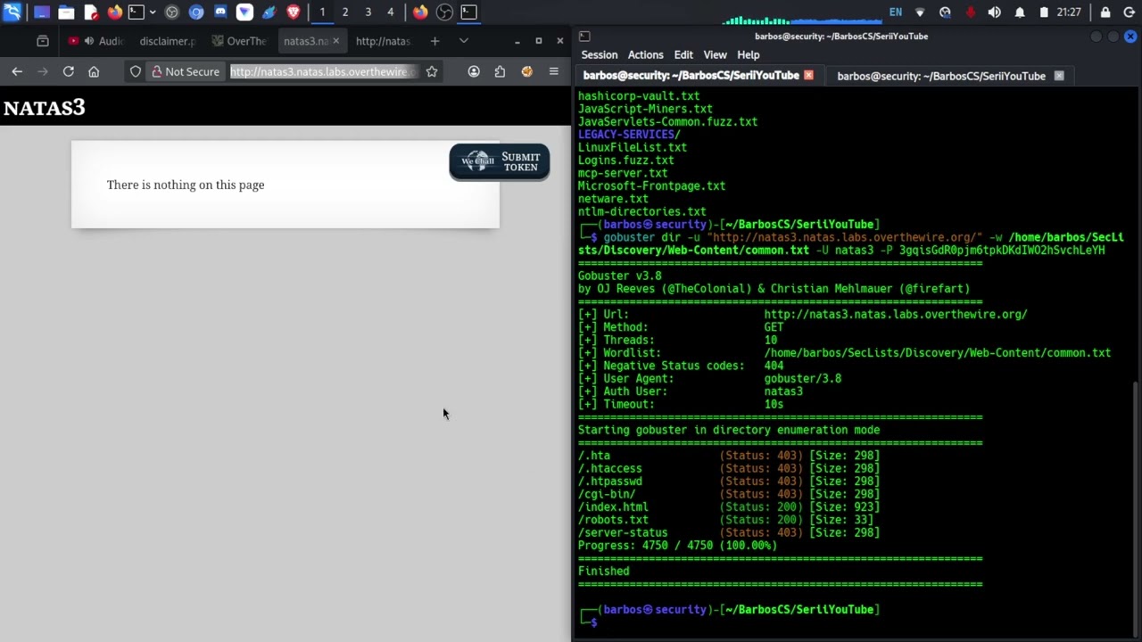 OverTheWire - NATAS Level 2 - 3 | Fisiere ascunse cu robots.txt si gobuster | Barbos Security #56