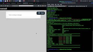 OverTheWire - NATAS Level 2 - 3 | Fisiere ascunse cu robots.txt si gobuster | Barbos Security #56