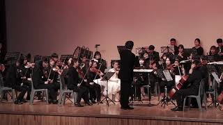 L.V.Beethoven Symphony No. 1 in C Major, Op. 21