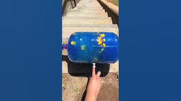 The Most Satisfying Video of All Time #asmr #asmrsounds #satisfying #satisfyingvideo #relaxing #calm