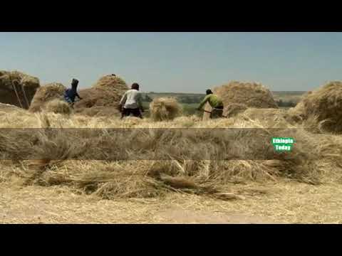 Ethiopian Gojjam Tradational Music