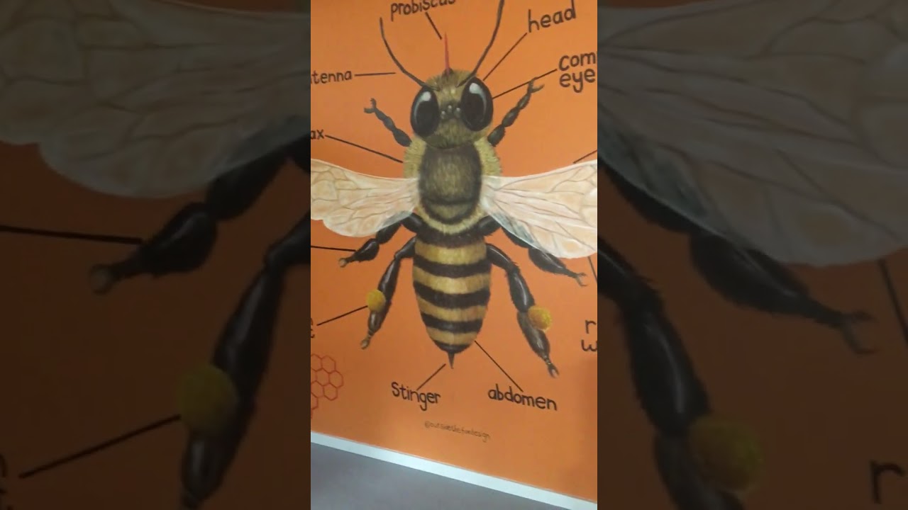 A walk through of The Colony Concept and Keeprs Mead and Brewing