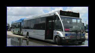 Remembering the 3300s - MDT's most unique "midi-buses" The OPTARES