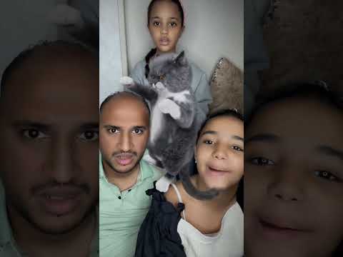 القطه الشقيه بتصطاد النمل