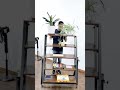 This Convertible Bookshelf Is INSANE! 😱