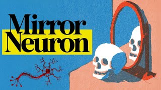 The Unexpected Link Between Autism, Empathy and P*rn
