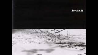 Section 25-Program For Light (Live 10-22-1985)