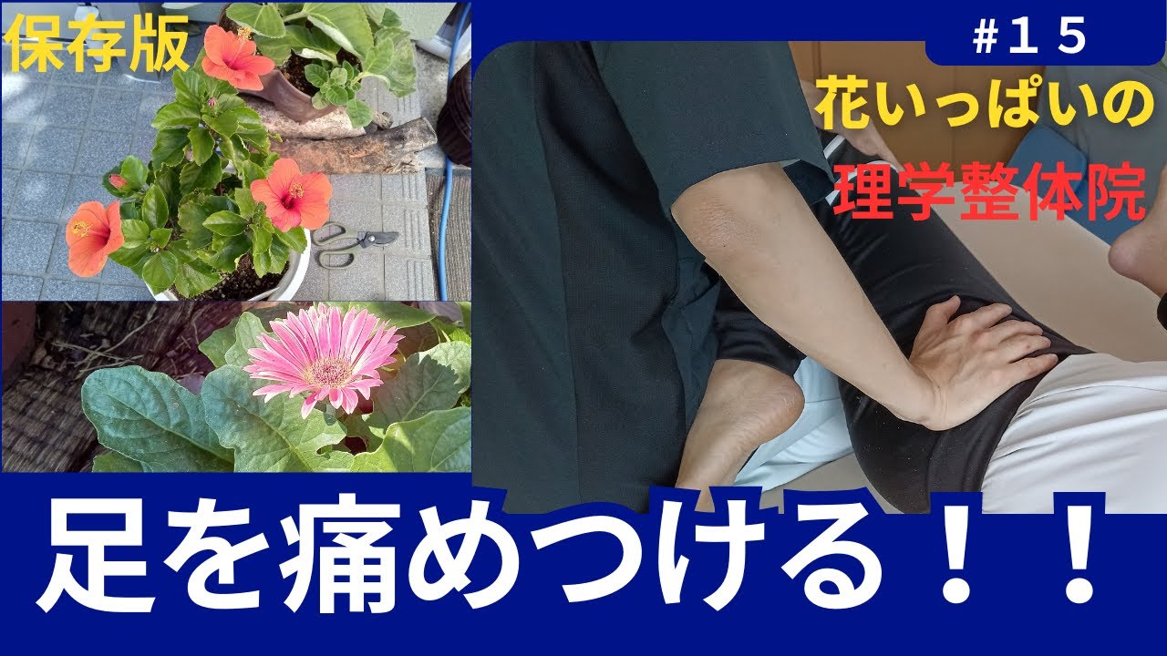花いっぱいの理学整体院より、「足をいじめる講座Part2」。ご予約は080−2079−3247