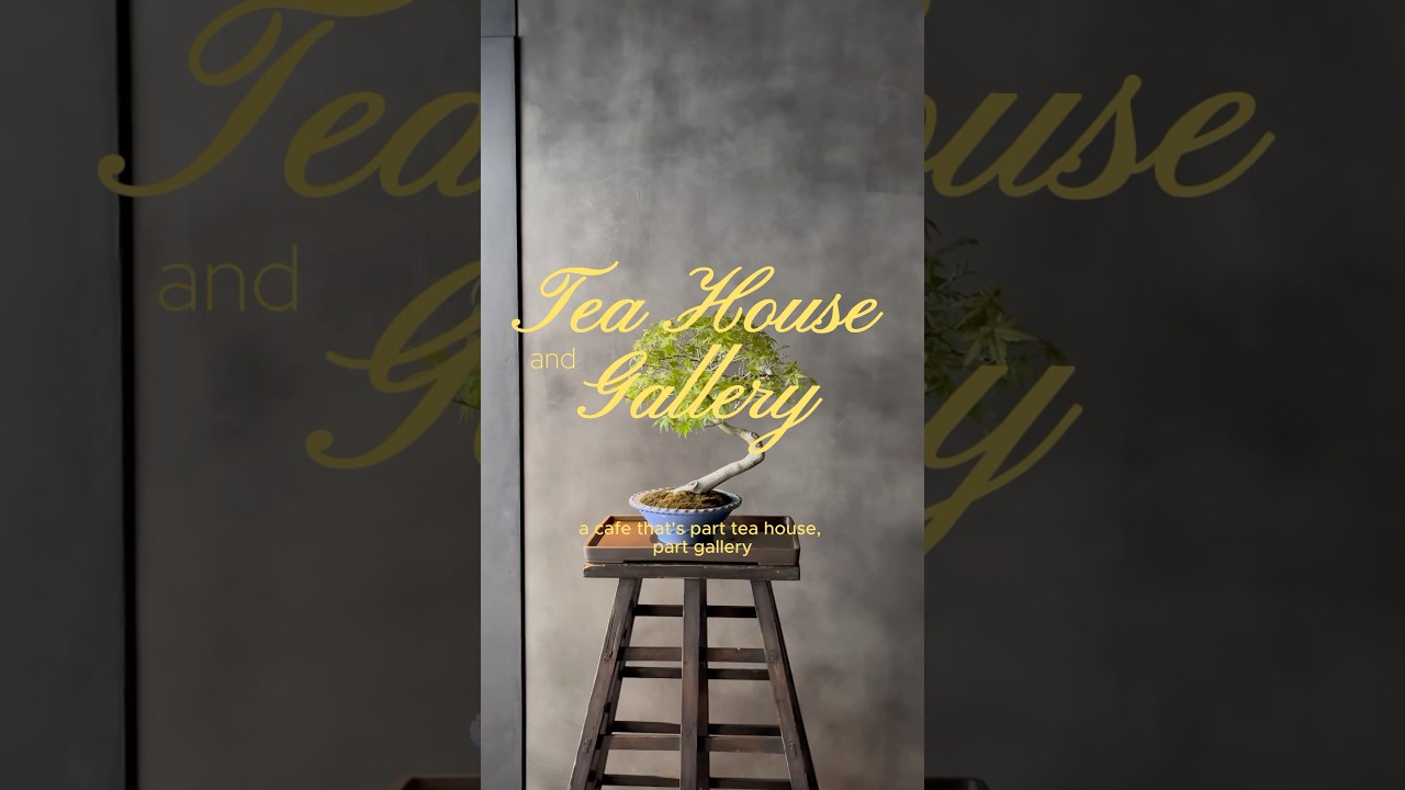 BONSAI cafe in Tokyo!!!!