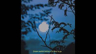 (FREE) Lo-fi Type Beat - Dream Awhile Before It Is Time To Go.