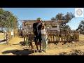 Cambiaron el consumo por la libertad: su vida off-grid en Portugal