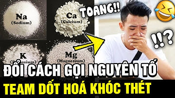 Thay đổi tên "NGUYÊN TỐ" theo cách gọi mới, team "DỐT HOÁ" khóc thét vì quá NGỠ NGÀNG | TÁM TV