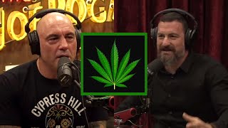 Joe Rogan On The Benefits Of Weed - Andrew Huberman