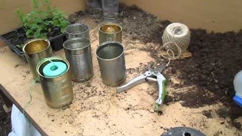How to make Hanging Planters from Tin Cans