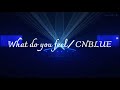 【What do you feel】*CNBLUE動画