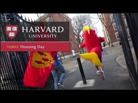 Housing Day at Harvard thumbnail