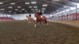 4-H bareback