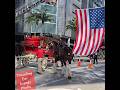 Budweiser Clydesdales Setup Process 🐎 Behind the Scenes Fort Lauderdale 2026