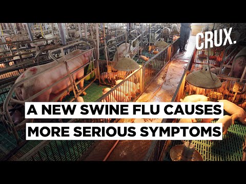 Video: Scientists Have Named Three Types Of Flu Much More Dangerous Than 