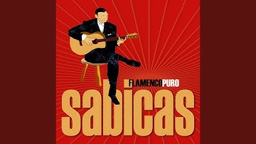 Thumbnail of Duelo de Campanas (Siguiriya)